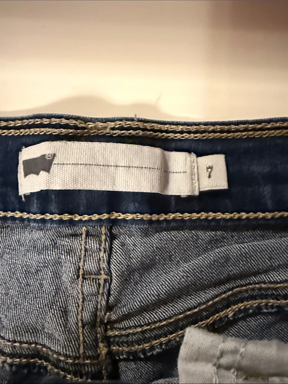 Levi's Blue Denim Women's Shorts